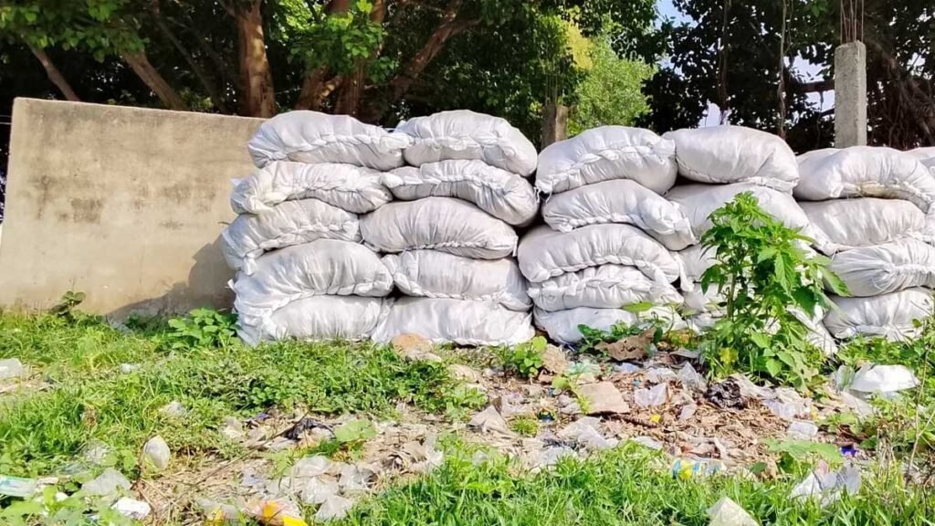 आगरा में टली बड़ी आफत, यमुना-चंबल का जलस्तर स्थिर