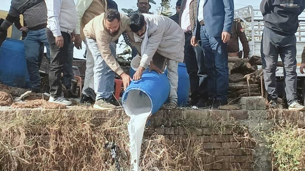 100 लीटर दूध में मिलीं मक्खियां