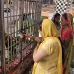 amroha sawan third monday shiv temples jalabhishek