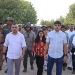 leopards roaming fields of moradabad news