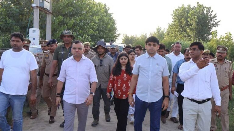 leopards roaming fields of moradabad news