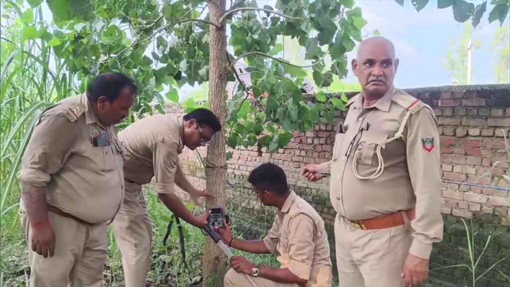 moradabad leopard search operation