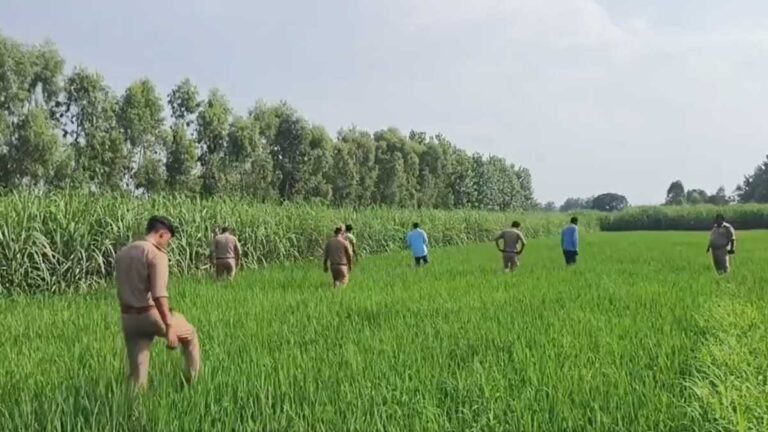 moradabad leopard search operation 3 trap cages