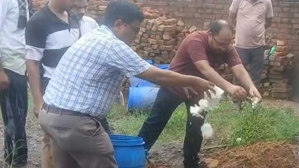 रामपुर में पनीर फैक्ट्री पर छापा, 76 किलो बदबूदार पनीर और 100 लीटर मक्खियों वाला दूध मिला