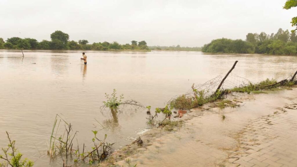 जलस्तर में लगातार बढ़ोतरी दर्ज हुई