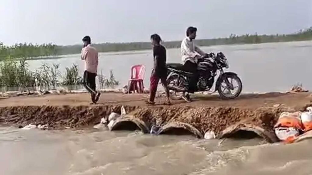 सड़क बनी नदी, बैलगाड़ी बनी सहारा, बिजनौर में बाढ़ के बीच चारा लेने निकले किसानों की तस्वीरें वायरल