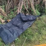 bijnor noorpur woman murder body found sugarcane field