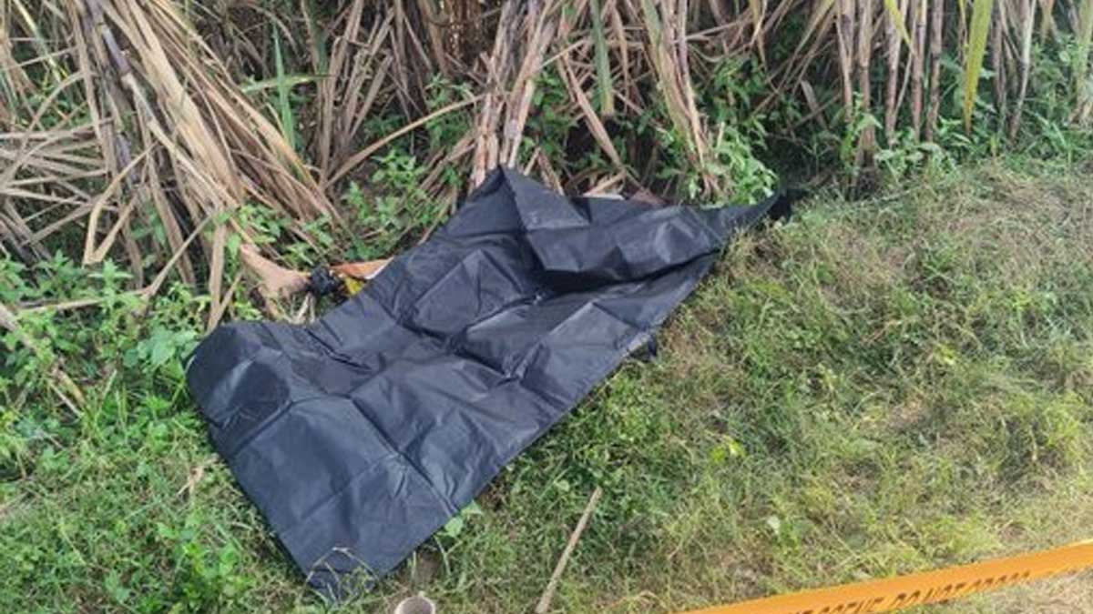 bijnor noorpur woman murder body found sugarcane field