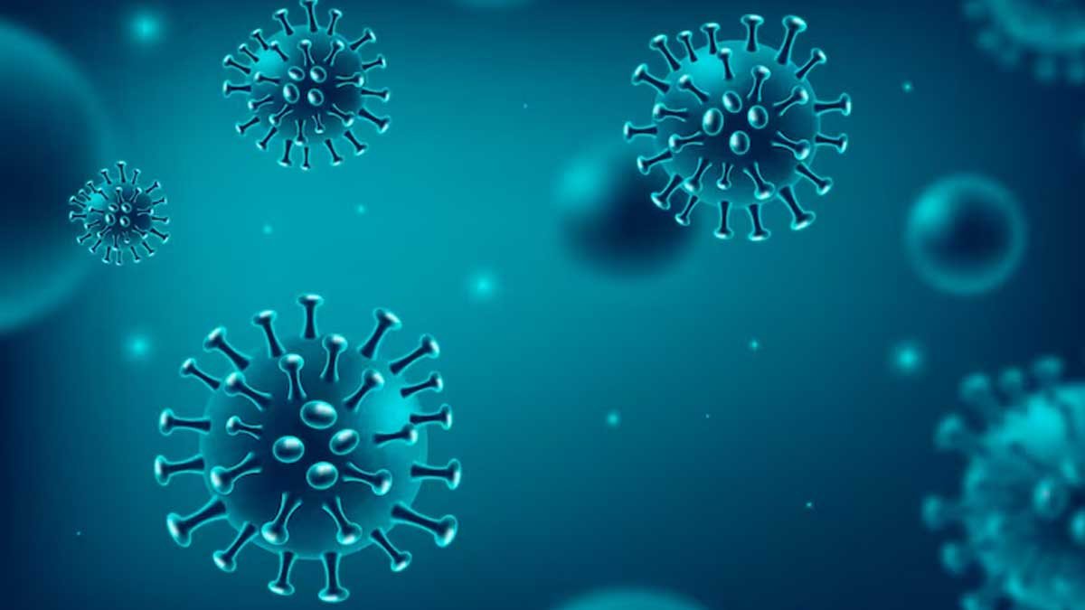 kanpur swine flu dengue cases health alert 47 cases