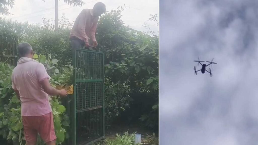मुरादाबाद में तेंदुए से निपटने का बड़ा प्लान: 40 ट्रैप कैमरे और 49 पिंजरों से बिछाया ‘हाई-टेक’ जाल
