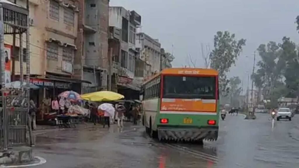 संभल में आफत की बारिश: स्कूल-कॉलेज बंद, बर्बाद फसलों को देख किसानों की बढ़ी चिंता!