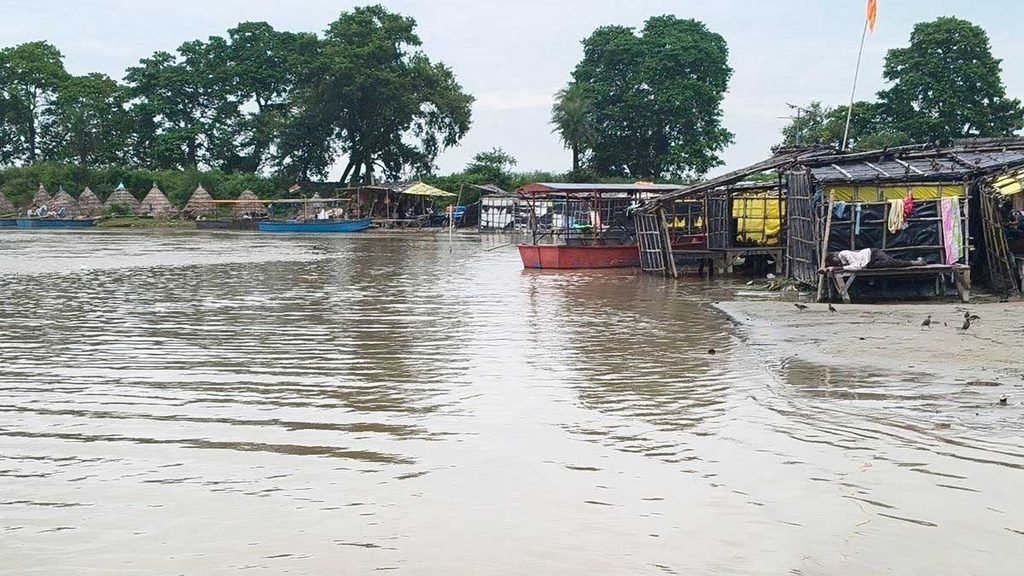 tigri flood farms